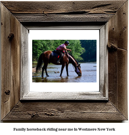 family horseback riding near me in Westmere, New York